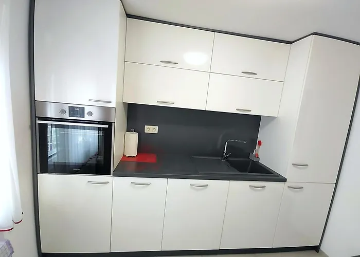 Modern With Big Terrace In Laibach