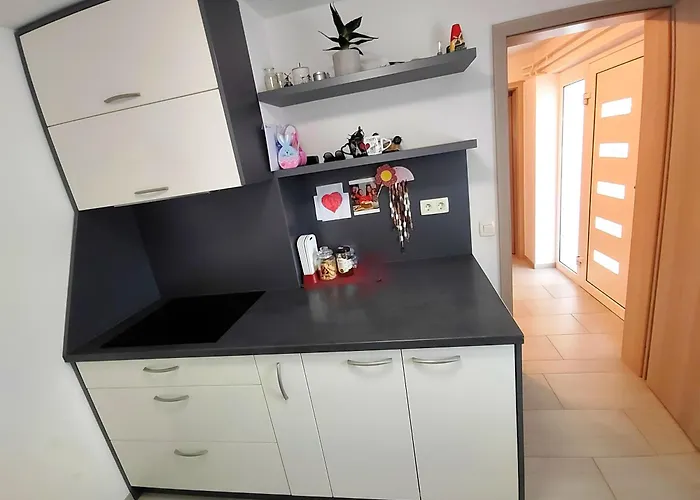 Apartament Modern With Big Terrace In Lublana